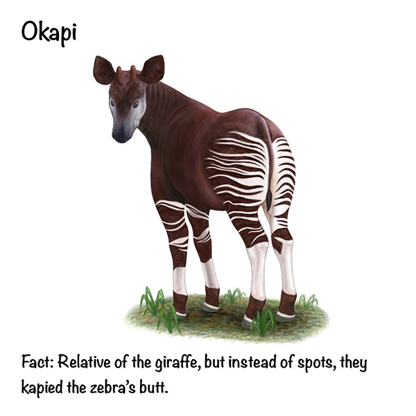 Okapi